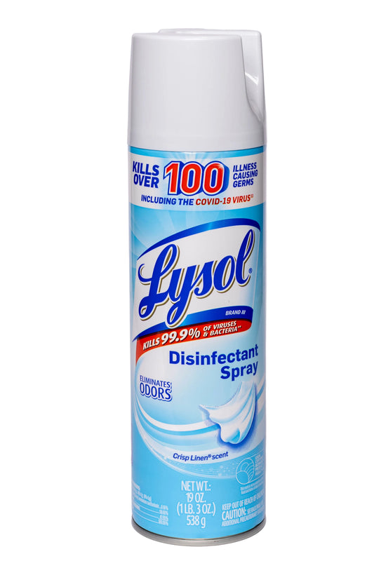 Lysol Disinfectant Spray Single